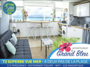 Superbe T2 vue mer & accès plage